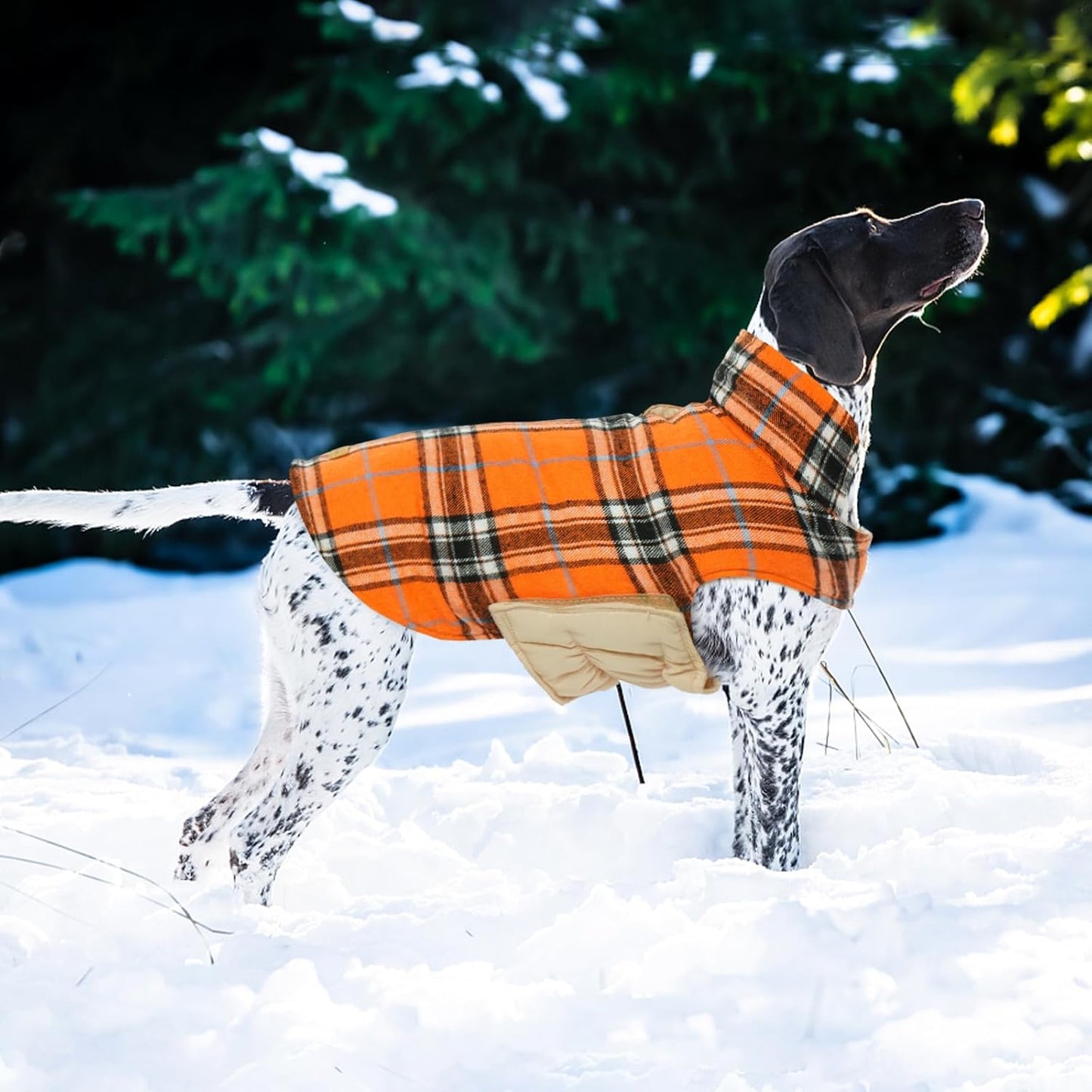 Kuoser Warm Dog Coat, Waterproof Dog Jacket for Extra Large Dogs, Adjustable Durable XXXL Doggie Winter Coat Reversible Puppy Cold Weather Apparel for Large Breed, Orange 3XL