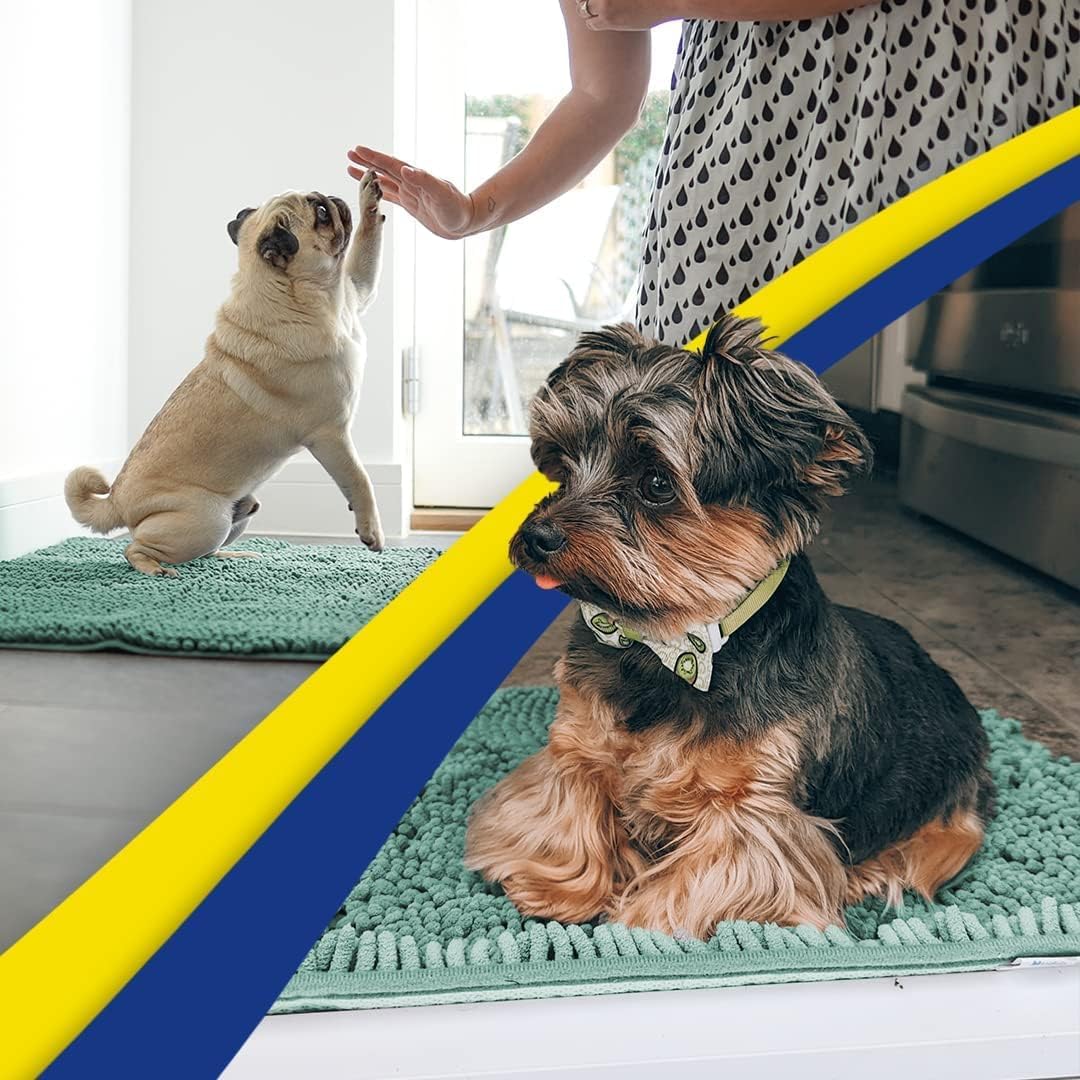 Muddy Mat® AS-SEEN-ON-TV Highly Absorbent Microfiber Door Mat and Pet Rug, Non Slip Thick Washable Area and Bath Mat Soft Chenille for Kitchen Bedroom Indoor and Outdoor - Seafoam Green 24" x 96"