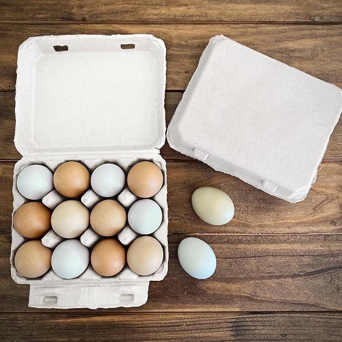 Vintage Egg Cartons for 12 Large Eggs – Classic 3x4 Layout – Durable Recycled Cardboard – Farmhouse Style – Eco-Friendly Packaging - White 75 Pack