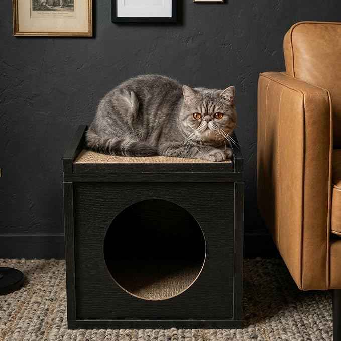 Meowdium Cat House – Cat Condo with Cardboard Scratcher, Scratching Post, Bed & Toy Storage, Cozy Cat Furniture & Accessories for Indoor Cats, Blackwood
