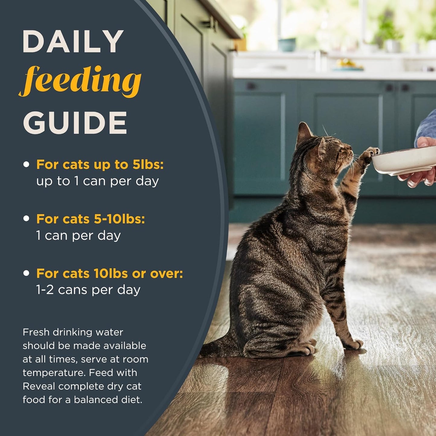 Reveal Natural Wet Cat Food, 18 Count, Grain Free, Limited Ingredient Cat Food Cups, Sardine with Mackerel in Broth, 2.12 oz Easy Peel Cups