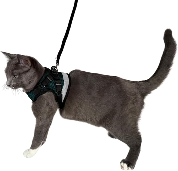 Travel Cat The Emerald Explorer Limited Edition Green Harness and Leash Set - Adjustable Fit Mesh Cat Harness with Reflective Strap - Escape Proof Harness for Cats, Kitten (Large)