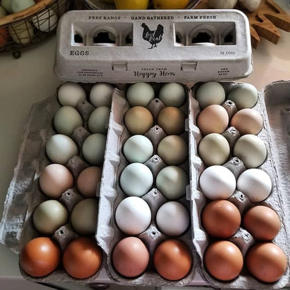 90 Egg Cartons- Adorable Printed Vintage Design for Farm Fresh Eggs, Recycled Paper Cardboard, Sturdy & Reusable, Carton Holds up to XL Chicken Eggs (90, Locally Laid Hen)