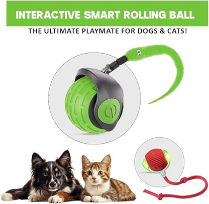 Interactive Cat Ball Toy – Smart Rolling Pet Ball with Obstacle Avoidance, USB Rechargeable, Cord Tail Design – Fun Enrichment Toy for Indoor Cats & Small Dogs (Green + Red)