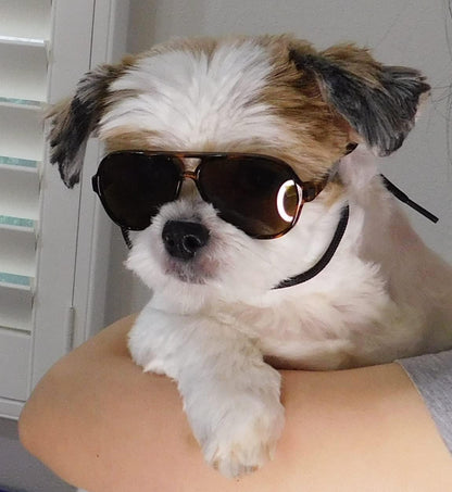 G029 Dog Cat Pet Aviator Sunglasses Glasses for Small Breeds up to 15lbs (Tortoise Brown)