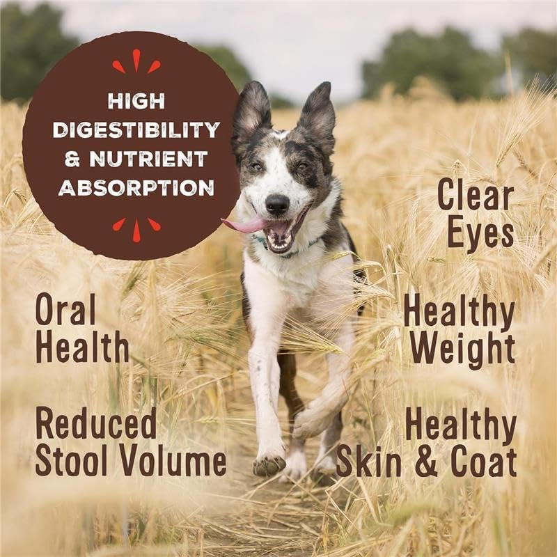 Primal Freeze Dried Dog Food, Pronto Mini Nuggets, Chicken; Scoop & Serve, Complete & Balanced Meal; Also Use As Topper or Treat; Premium, Healthy, Grain Free, High Protein Raw Dog Food (16 oz)
