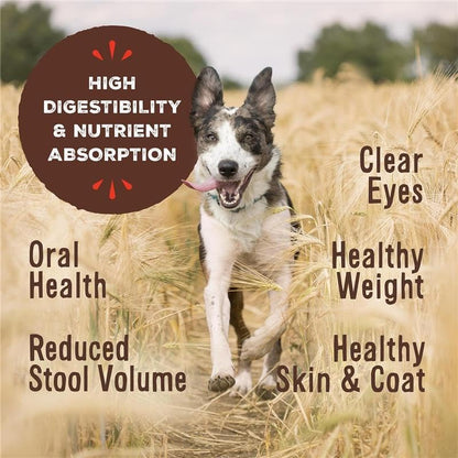 Primal Freeze Dried Dog Food, Pronto Mini Nuggets, Chicken; Scoop & Serve, Complete & Balanced Meal; Also Use As Topper or Treat; Premium, Healthy, Grain Free, High Protein Raw Dog Food (16 oz)