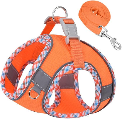 Dog Harness and Leash Set, No Pull Adjustable Reflective Pet Harness for Small Medium Dogs, Step in Vest Harness Easy Walk Dog Harness Outdoor Hiking Training for Small Medium Dogs, Cats(Orange, S)