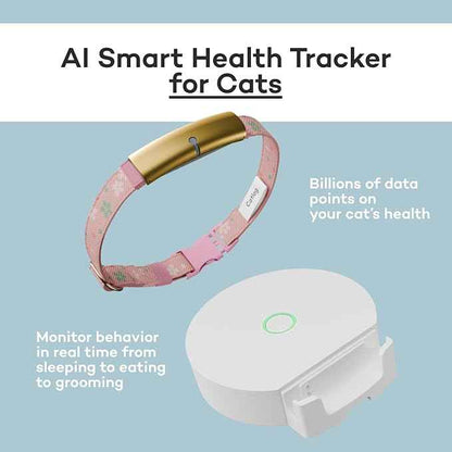 Health Tracker for Cats - Smart Cat Collar with Safety Breakaway Buckle for Indoor Cats, Wellness Alerts, Real-time Monitoring (Wave (Blue),M)