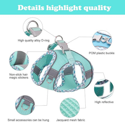 Dog Harness and Leash Set, No Pull Adjustable Reflective Pet Harness for Small Medium Dogs, Step in Vest Harness Easy Walk Dog Harness Outdoor Hiking Training for Small Medium Dogs, Cats(Orange, S)