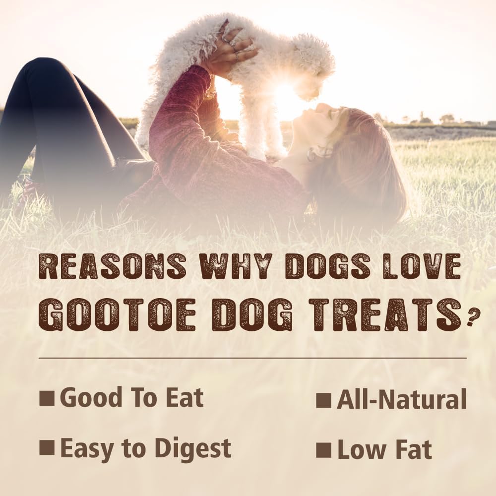 Gootoe Turkey Tendon Dog Treats, Pretzel (S) 6 Pieces per Pack, USA-Sourced Turkey Tendon, Natural Snack, Premium Puppy Chews, Hypoallergenic, Reseal Value Bags, Size for Small Dogs (Pack of 2)