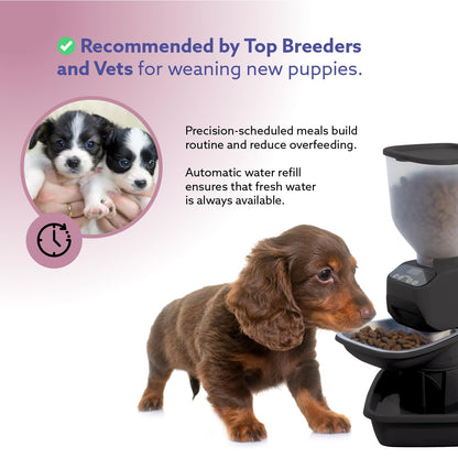 Feeding Friend Automatic Dog & Cat Food Feeder with Water Dispenser – Smart Pet Feeder with Portion Control, OLED Display, Anti Jam Design, Battery Operated Dispenser for Small- (XS) Pets - Black