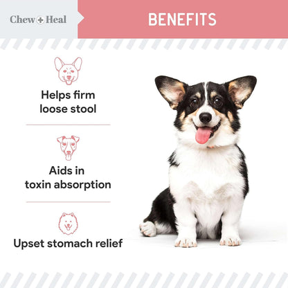 Chew + Heal Labs Anti Diarrhea for Dogs - 12 oz. of Stop The Diarrhea Liquid Supplement with Kaolin for Upset Stomach Relief - Made in The USA