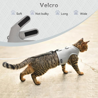 Kitty Harness and Leash for Walking Escape Proof Breathable Mesh Fabric, Solid Grey, Small, Adjustable Cat Walking Jackets, Padded Stylish Cat Vest