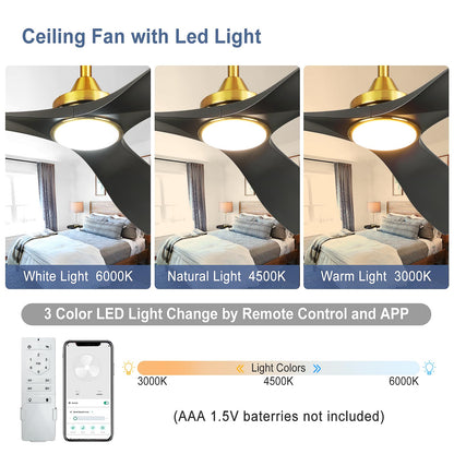 Bvenubiglite Modern Ceiling Fan With Light: Black And Gold Ceiling Fans With Remote And Smart App Control 3 Blades - 52 Inch Cei