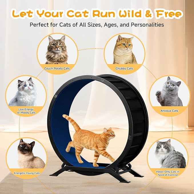 GTRACING Cat Wheels, 40" Diameter, Large Cat Exercise Wheel for Indoor Cats cat Treadmill Metal with Detachable Carpet & Teaser/Stickers, Ultra-Quiet Scroll Wheel with Latch, Safe and Stable, Blue