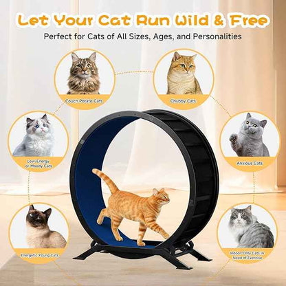 GTRACING Cat Wheels, 40" Diameter, Large Cat Exercise Wheel for Indoor Cats cat Treadmill Metal with Detachable Carpet & Teaser/Stickers, Ultra-Quiet Scroll Wheel with Latch, Safe and Stable, Blue