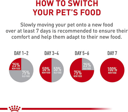 Royal Canin Adult Instinctive Thin Slices in Gravy Wet Cat Food, 3 oz., 6-Pack