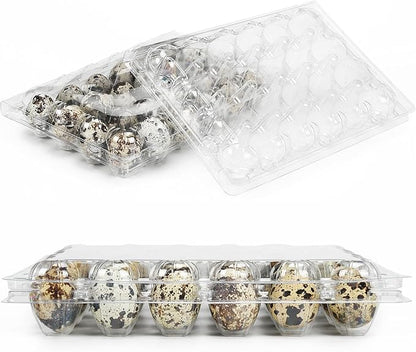 50 Pack Small Plastic Egg Cartons - Clear 2 Dozen Quail Eggs Tray - Reusable Storage Holder for Small, Pheasant, Pigeon Eggs