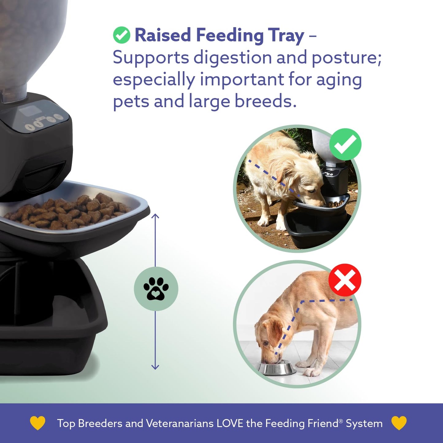 Feeding Friend Automatic Dog & Cat Food Feeder with Water Dispenser – Smart Pet Feeder with Portion Control, OLED Display, Anti Jam Design, Battery Operated Dispenser for Small- (XS) Pets - Black