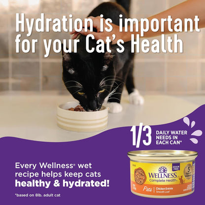 Wellness Complete Health Pate Adult Wet Cat Food, Natural, Protein-Rich, Grain Free, 3 Ounce, 24 Pack, (Chicken & Lobster)