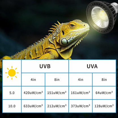 UVB Light Bulb for Reptiles, LED 3W 5.0 UVA UVB Heat Lamp Bulbs Ideal for Rainforest Reptiles, Bearded Dragons Lizard Turtle Tortoise Iguanas Chameleons Snake (1 Pack)