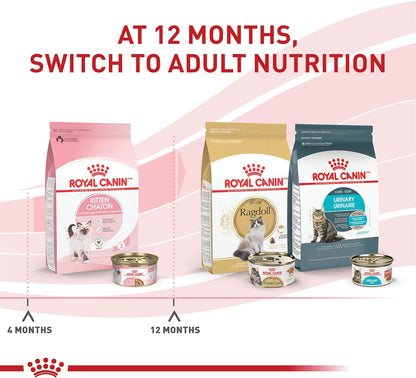 Royal Canin Feline Health Nutrition Kitten Thin Slices in Gravy Canned Cat Food, 3 oz., Count of 24