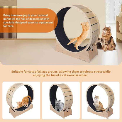 Large Cat Exercise Wheel 40 Inch Treadmill Exerciser for Indoor Cats Love Kitty Running Toy Walking Training for Fitness Weight Loss Device Suitable for Most Cats Physical Exercise Activity