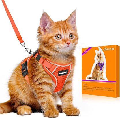 Halypet Cat Harness and Leash Set [MAX Safety 4th-Gen Upgrade] Escape Proof Adjustable Cat Leash Comfortable Soft Vest Easy to Wear Kitten Harness with Reflective Strip for Cats Walking, S Orange