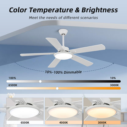 Rienaza 52 Inch Ceiling Fans With Lights And Remote Control,White Ceiling Fan With Light,Reversible,3Cct,Dimmable, Noiseless,Mod