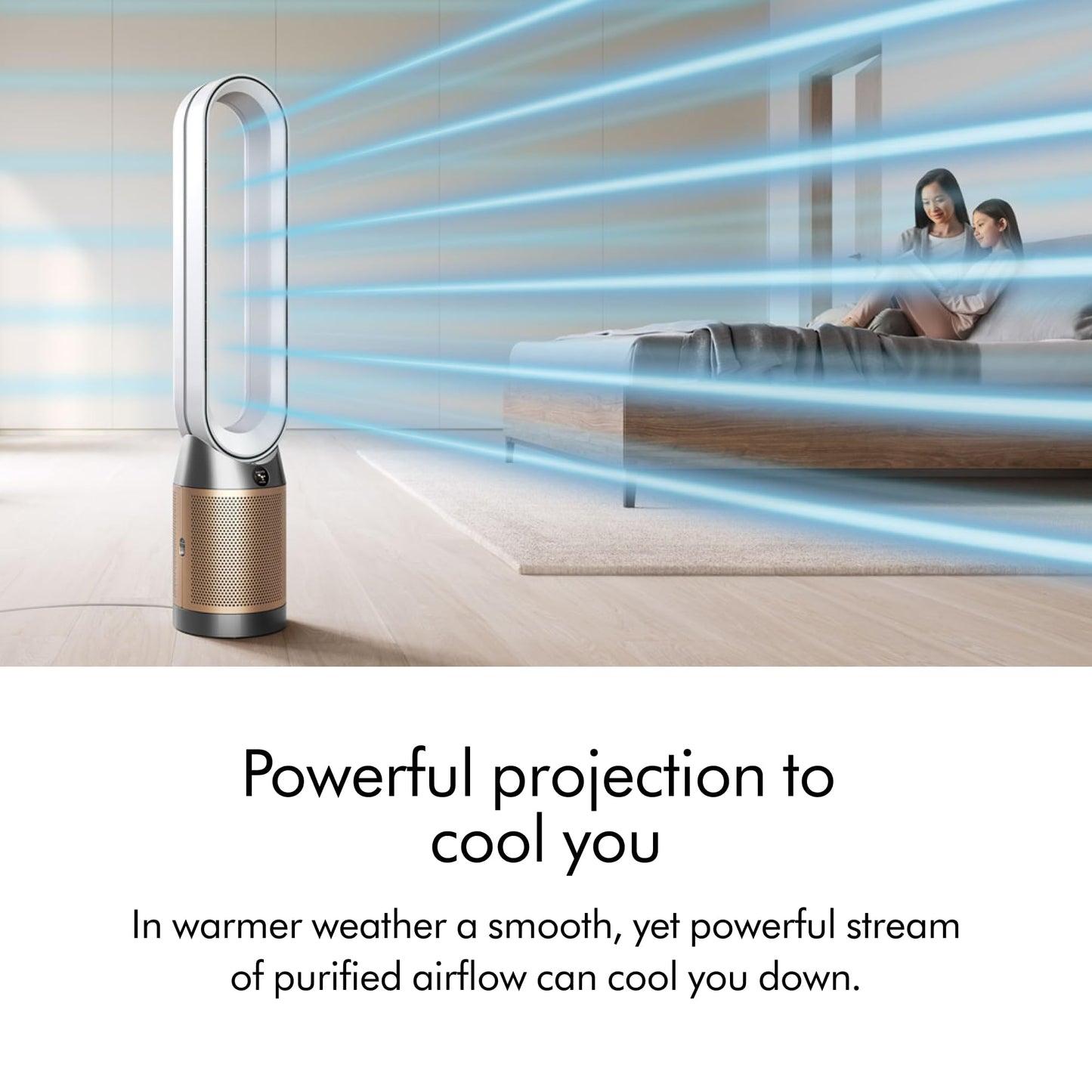Dyson Purifier Cool Pc2 De-Nox