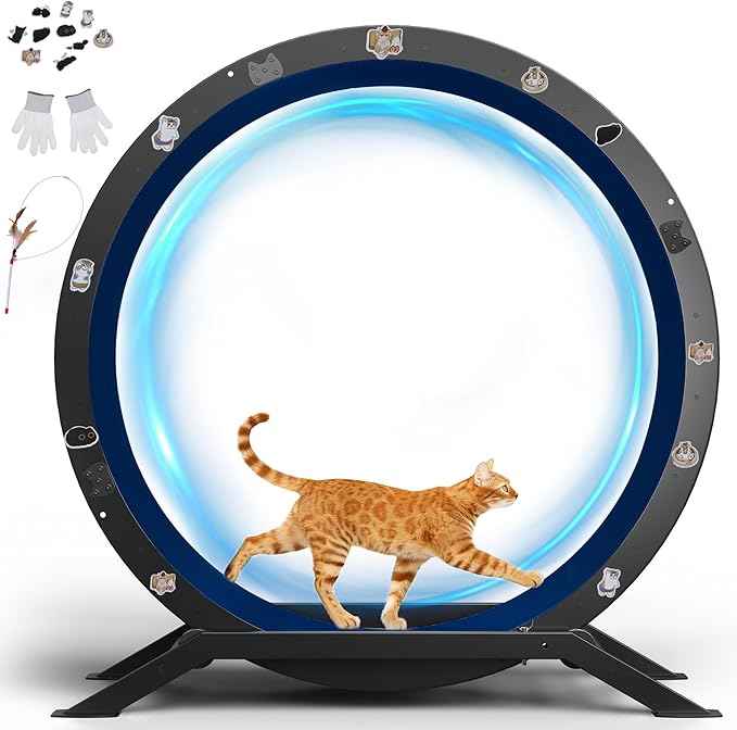 GTRACING Cat Wheels, 40" Diameter, Large Cat Exercise Wheel for Indoor Cats cat Treadmill Metal with Detachable Carpet & Teaser/Stickers, Ultra-Quiet Scroll Wheel with Latch, Safe and Stable, Blue