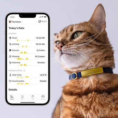 Health Tracker for Cats - Smart Cat Collar with Safety Breakaway Buckle for Indoor Cats, Wellness Alerts, Real-time Monitoring (Kimono (Sakura -Night-),M)