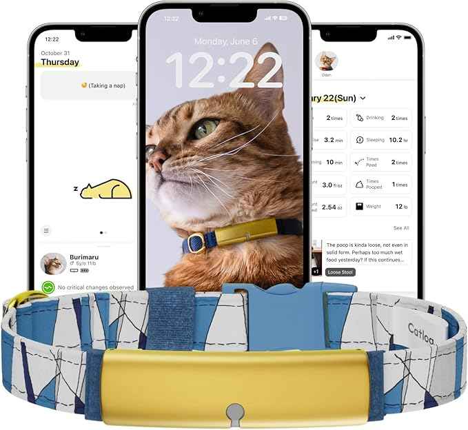 Health Tracker for Cats - Smart Cat Collar with Safety Breakaway Buckle for Indoor Cats, Wellness Alerts, Real-time Monitoring (Wave (Blue),M)