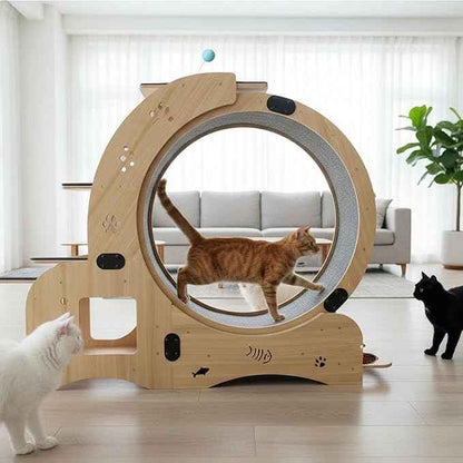 55" cat Wheel，cat Wheels for Indoor Cats，with Cat Bed, Scratching Board, Detachable Mat, Climbing Frame, Nest & Toys,6 in 1 Large Cats Treadmill，for Running/Walking/Training