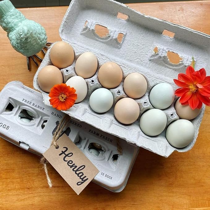 90 Egg Cartons- Adorable Printed Vintage Design for Farm Fresh Eggs, Recycled Paper Cardboard, Sturdy & Reusable, Carton Holds up to XL Chicken Eggs (90, Locally Laid Hen)