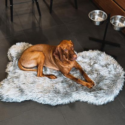 IHAPPYDOG Luxury Faux Fur Orthopedic Dog Bed, Memory Foam Dog Bed for Small, Medium, Large and XL Pets, Fluffy Pet Bed with Waterproof and Washable Cover (Grey, 60"x35")