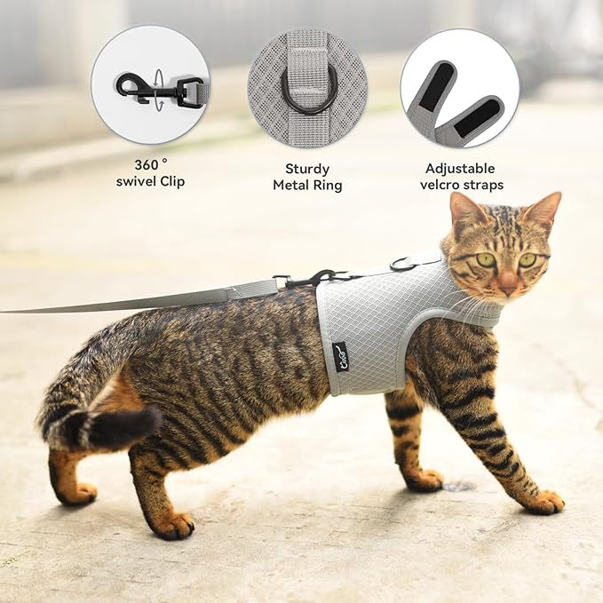 Kitty Harness and Leash for Walking Escape Proof Breathable Mesh Fabric, Solid Grey, Small, Adjustable Cat Walking Jackets, Padded Stylish Cat Vest