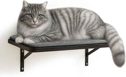 Cat Wall Shelf Window Perch, Cats Bed Hammock with Scratching Pad, Cat Shelf for Climbing Sleeping Playing,Black Furniture for Indoor Large Cats