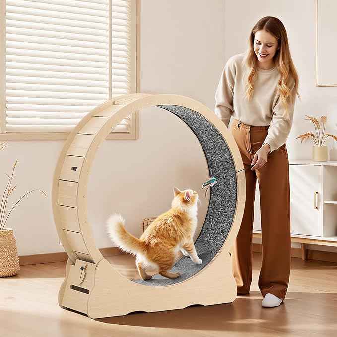 VEVOR Cat Exercise Wheel, 48 in Wooden Cat Running Wheel for Indoor Cats up to 28 lbs, Cats Treadmill with Carpeted Runway & Locking Mechanism, Quiet Roller Kitten Sport Toys for Pets Fitness & Health