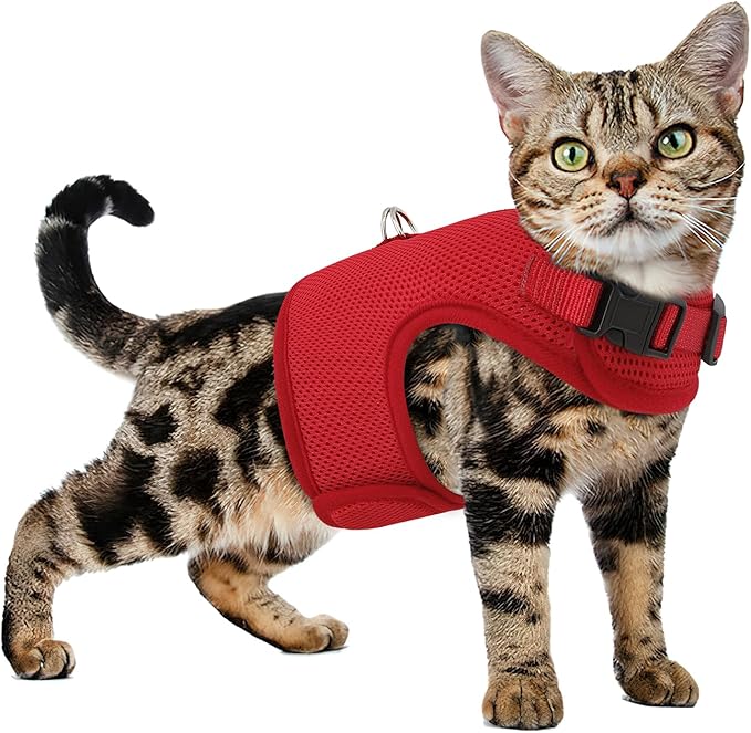Athena Collection Adjustable Cat Harness with Velcro, Portable Small Sized Cat Vest Harness Breathable Comfy Escape Proof Cat Kitten Harness Pet Supplies for Outdoor Walking, Training, Red