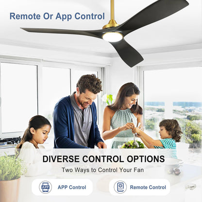 Bvenubiglite Modern Ceiling Fan With Light: Black And Gold Ceiling Fans With Remote And Smart App Control 3 Blades - 52 Inch Cei