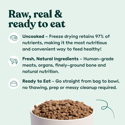 Little Hunter Freeze Dried Lamb Raw Dog Food | Grain Free, Limited Ingredient, Single Protein Meal or Mix in Topper | Novel Protein Kibble Alternative | 15 oz Bag