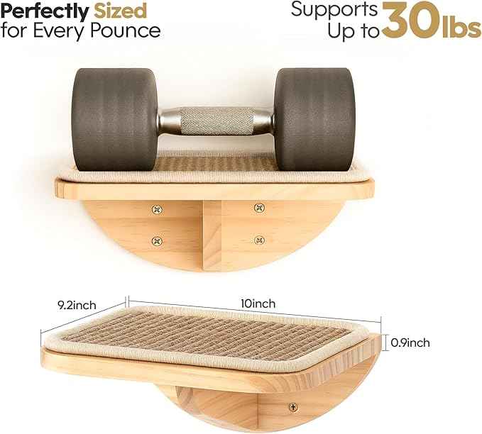Cat Window Perches, Curved Cat Wall Sisal Mat Bed and 2 Floating Wall Steps, Wall Mounted Climbing Shelves for Sleeping, Playing, and Lounging