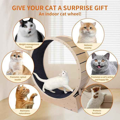 Large Cat Exercise Wheel 40 Inch Treadmill Exerciser for Indoor Cats Love Kitty Running Toy Walking Training for Fitness Weight Loss Device Suitable for Most Cats Physical Exercise Activity