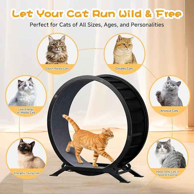 GTRACING Cat Wheels, 40" Diameter, Large Cat Exercise Wheel for Indoor Cats cat Treadmill Metal with Detachable Carpet & Teaser/Stickers, Ultra-Quiet Scroll Wheel with Latch, Safe and Stable, Black