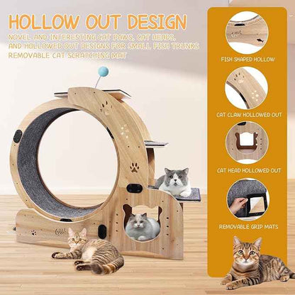 55" cat Wheel，cat Wheels for Indoor Cats，with Cat Bed, Scratching Board, Detachable Mat, Climbing Frame, Nest & Toys,6 in 1 Large Cats Treadmill，for Running/Walking/Training