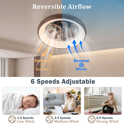 Low Profile Ceiling Fans With Lights, Dimmable Smart Rgb Ceiling Fan With Alexa/Google Assistant/App/Remote Control, 6-Speeds Re