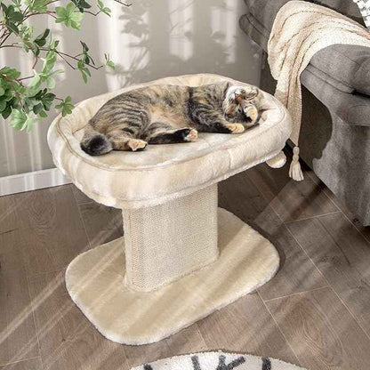 Tangkula Cat Tree for Indoor Cats, 2-Tier Cat Tower with Top Perch & Sisal Scratching Panel & Jingling Fur Ball Toy, Cozy Cat Bed with Scratching Post, Modern Small Kitten Activity Center (Beige)
