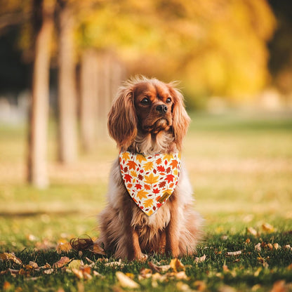 Fall Dog Bandanas - 2 Pack Halloween Thanksgiving Dog Bandana | Reversible Pumpkin and Leaf Pet Scarf for Boy & Girl | Premium Durable Fabric | Holiday Bandana for Medium and Large Dogs (Large)